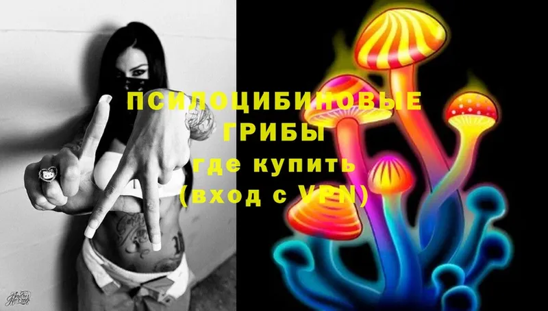 Галлюциногенные грибы Cubensis  Тейково 